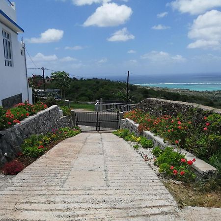O Bercail Du Sud-Hibiscus Chez Jeannette Villa Saint Gabriel Eksteriør bilde